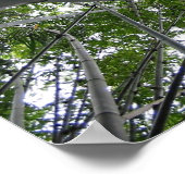 Skyward Bamboo ポスター (角)