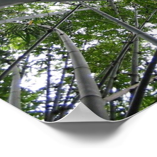 Skyward Bamboo ポスター (角)