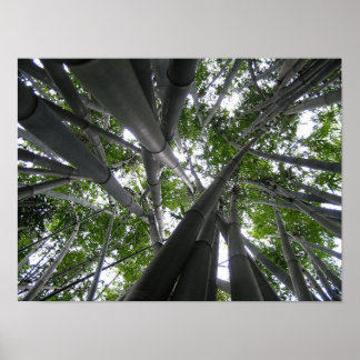 Skyward Bamboo ポスター