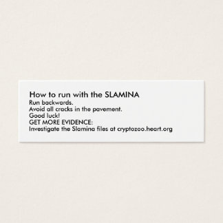 SLAMINAの走使い方