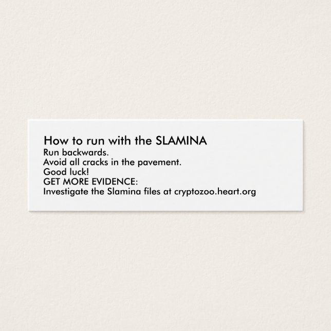 SLAMINAの走使い方 (正面)