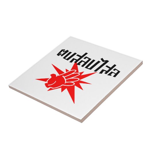 Slap You ☆ Dop Salop Salai間抜けをタイ語スクリプトで☆ タイル (側面)