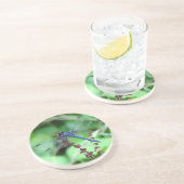 Slateyスキマーのトンボのコースター コースター (側面)