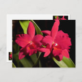 SLCMadge Fordyce 'Red Orb' AM/AOS ポストカード (正面/裏面)