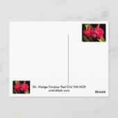 SLCMadge Fordyce 'Red Orb' AM/AOS ポストカード (裏面)