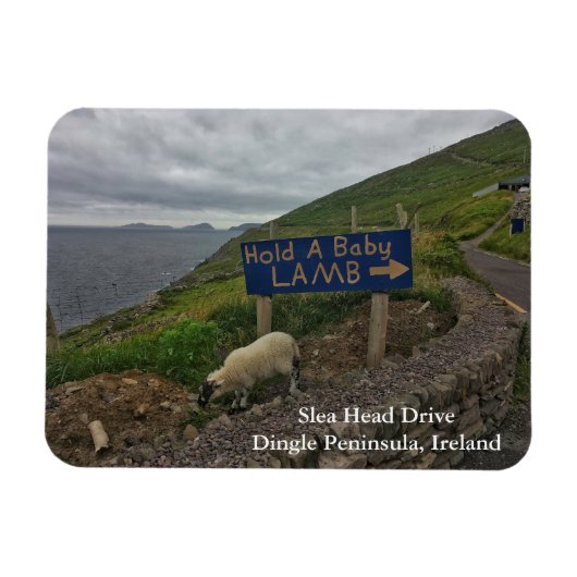Slea Head Drive Dingle Peninsula，アイルランド磁石 マグネット (横)