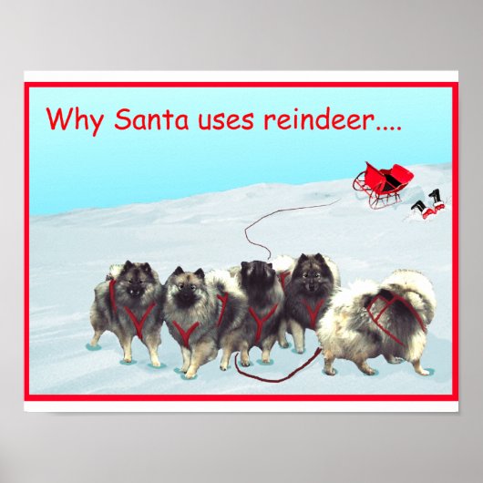 Sledチームポスター ポスター (正面)