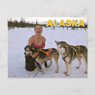 Sled Dogs In Alaska ポストカード