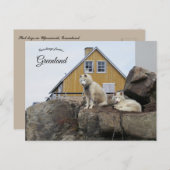 Sled Dogs in Upernavik Greenland ポストカード (正面/裏面)