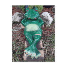 Sleeing Frog Just Chilling Youについて