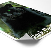Sleek Black Panther Cat with Green Eyes ポスター (角)