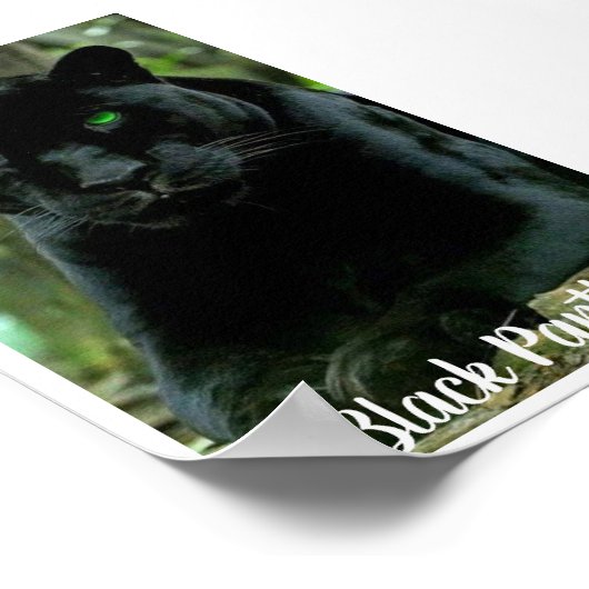 Sleek Black Panther Cat with Green Eyes ポスター (角)