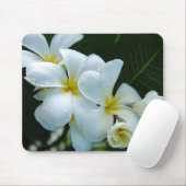 Sleek elegance: the white frangipani flower マウスパッド (マウス)