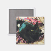 Sleek Kitty magnet マグネット (正面/裏面)