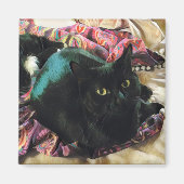 Sleek Kitty magnet マグネット (正面)