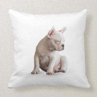 Sleep Dog クッション