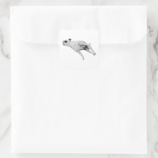 Sleeper Cutout, Noel Edition スクエアシール (バッグ)