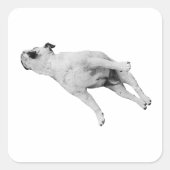 Sleeper Cutout, Noel Edition スクエアシール (正面)