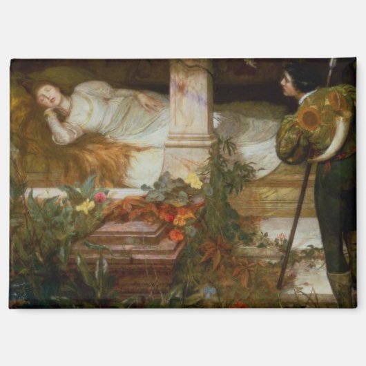 Sleeping Beauty (Pretty Princess Meets Her Prince) マグネット (正面)