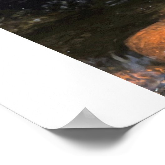 sleeping Buddha on water ポスター (角)