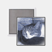 Sleeping cat マグネット (正面/裏面)