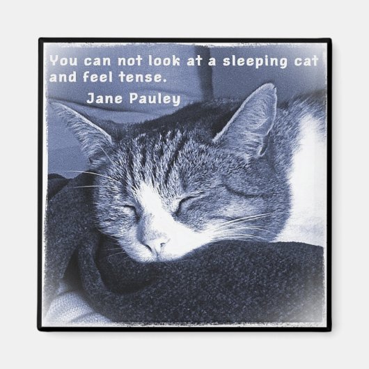 Sleeping cat マグネット (正面)