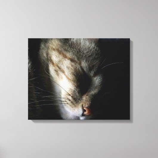 Sleeping Cat 20"x16"キャンバス印刷 キャンバスプリント (正面)