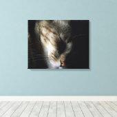 Sleeping Cat 20"x16"キャンバス印刷 キャンバスプリント (インサイチュ (ウッドフロア))
