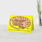 Sleeping Cat Greeting Card シーズンカード (正面)
