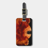 Sleeping Chow cd ltcna ラゲッジタグ (正面縦)