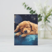 Sleeping Dog ポストカード (スタンド正面)