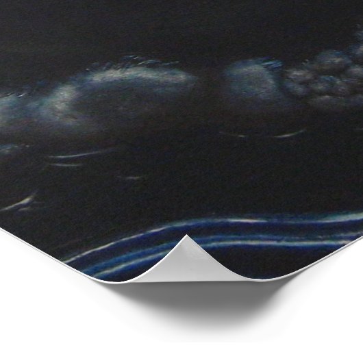 Sleeping Dragon & Rider under the Red Moon ポスター (角)