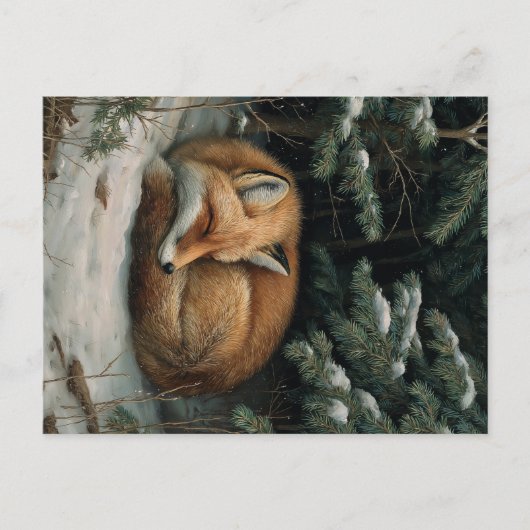 Sleeping Fox in Winter Forest ポストカード (正面)