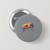 Sleeping Ginger Cat Button 缶バッジ (正面&裏面)
