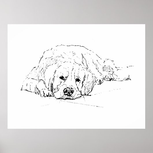 Sleeping Golden Retriever, Wall Art Print ポスター (正面)