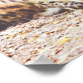 Sleeping Hyena、野生生物写真 ポスター (角)