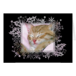 Sleeping Kitten Blank Greeting Card