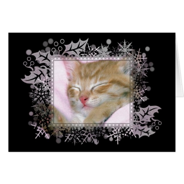 Sleeping Kitten Blank Greeting Card (正面横)