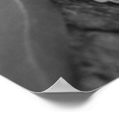 Sleeping Koala Australian Wildlife ポスター (角)