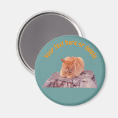 Sleeping Orange Tabby Cat Personalized マグネット (正面/裏面)