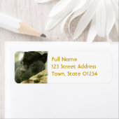 Sleeping Pantherの宛名ラベル ラベル (インサイチュ)