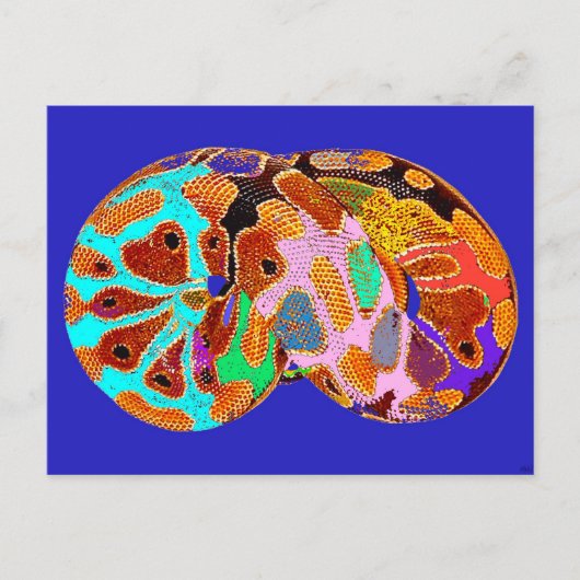 Sleeping Python ポップ・アートの Art Post Card （青） ポストカード (正面)