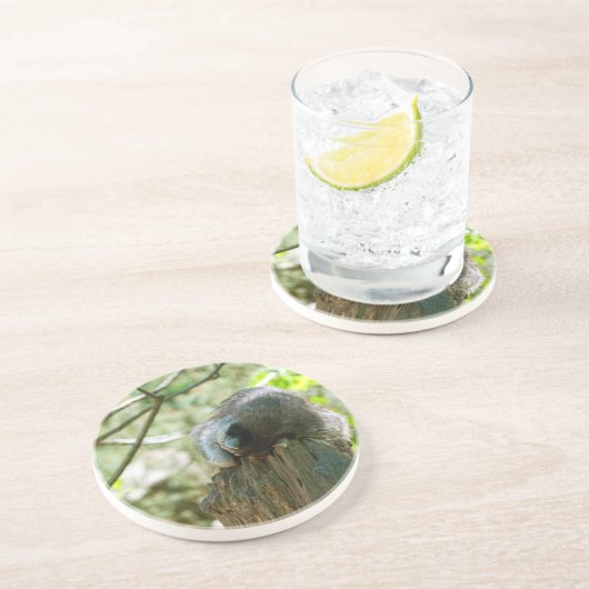 Sleeping Raccoon Stickers コースター (側面)