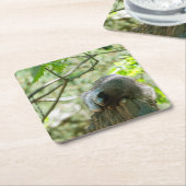 Sleeping Raccoon Stickers スクエアペーパーコースター (アングル)