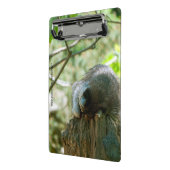 Sleeping Raccoon Stickers ミニクリップボード (アングル2)