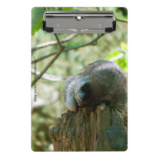 Sleeping Raccoon Stickers ミニクリップボード