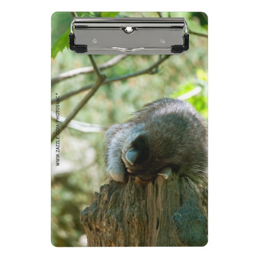 Sleeping Raccoon Stickers ミニクリップボード (正面)