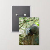 Sleeping Raccoon Stickers 缶バッジ (正面/裏面)