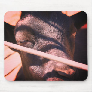 Sleepy Bull Farm Animal Nature マウスパッド