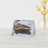 Sleepy Duck Nature Photography Note カード (黄色い花)